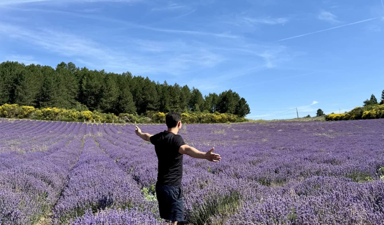 Travel Hacks & Tips: How to Make Your Trips Smoother and More Affordable